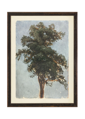 Celadon Art Vintage Tree Study 11"x15"