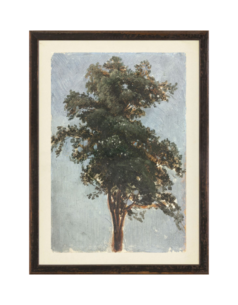 Celadon Art Vintage Tree Study 11"x15"