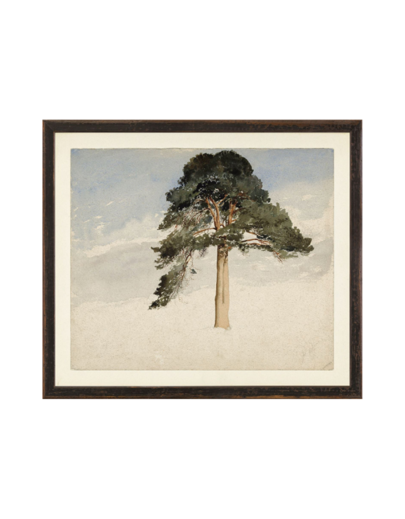 Celadon Art Vintage Scotish Fir Tree 15"x30"