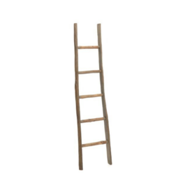Branch Natural Ladder