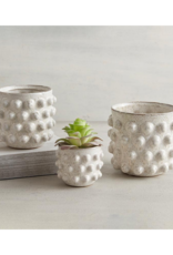creative brands White Dot Pot in Large