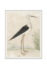 Celadon Art Gordon Print Black Winged Stilt 16"x21"