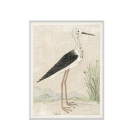 Celadon Art Gordon Print Black Winged Stilt 16"x21"
