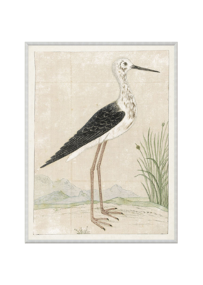 Celadon Art Gordon Print Black Winged Stilt 16"x21"