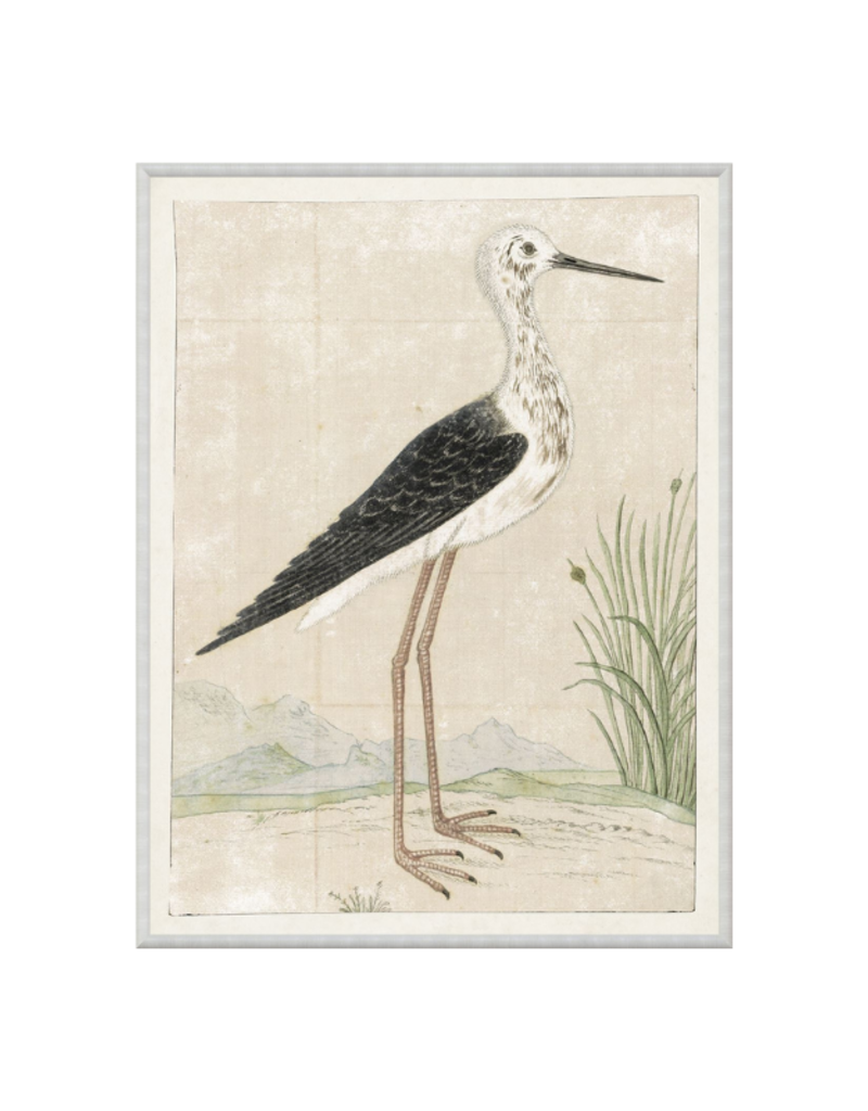 Celadon Art Gordon Print Black Winged Stilt 16"x21"