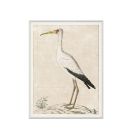 Celadon Art Gordon Print Wood Stark 16"x21"