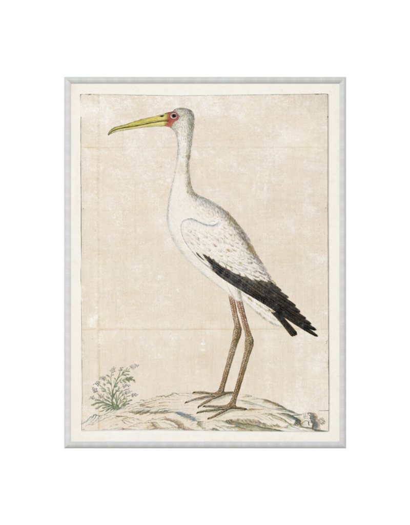 Celadon Art Gordon Print Wood Stark 16"x21"