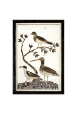 Celadon Art Minaggio Plate Art Print 99 - 13"x19"