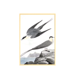 Celadon Art Arctic Yager by John J. Audubon 28"x19"