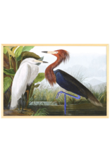Celadon Art Purple Heron by John J. Audubon 28"x19"