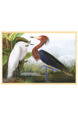 Celadon Art Purple Heron by John J. Audubon