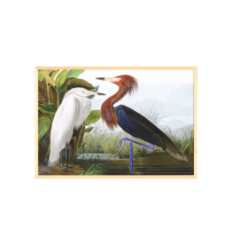 Celadon Art Purple Heron by John J. Audubon 28"x19"