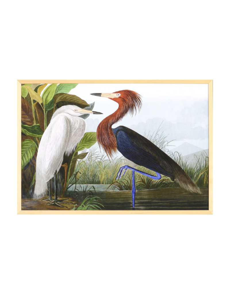 Celadon Art Purple Heron by John J. Audubon 28"x19"