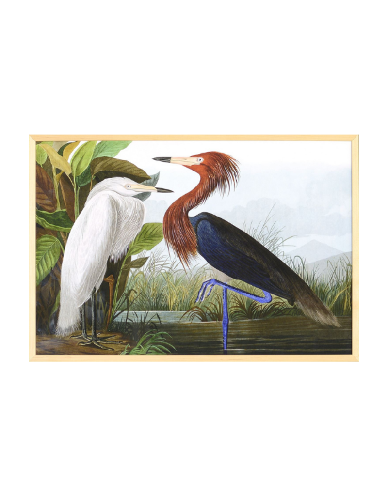 Celadon Art Purple Heron by John J. Audubon