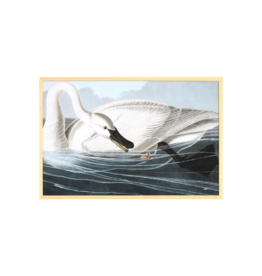 Celadon Art Trumpeter Swan by John J. Audubon 28"x19"