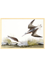 Celadon Art Wilsons Phalarope by John J. Audubon 28"x19"