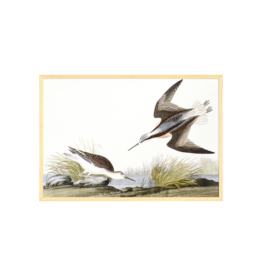 Celadon Art Wilsons Phalarope by John J. Audubon 28"x19"