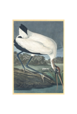 Celadon Art Wood Ibis by John J. Audubon 28"x19"