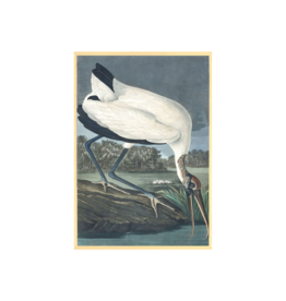 Celadon Art Wood Ibis by John J. Audubon 28"x19"