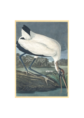 Celadon Art SPECIAL ORDER - Wood Ibis by John J. Audubon 28"x19"