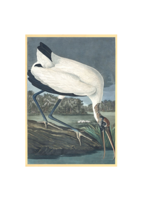 Celadon Art Wood Ibis by John J. Audubon 28"x19"