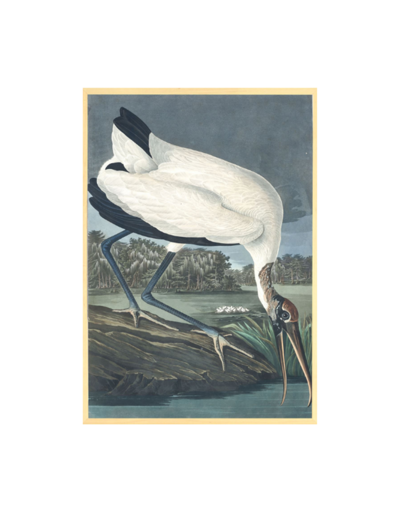 Celadon Art Wood Ibis by John J. Audubon 28"x19"