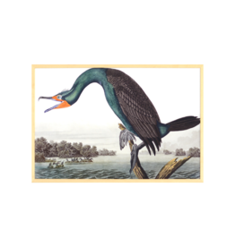 Celadon Art Florida Cormorant by John J. Audubon 28"x19"