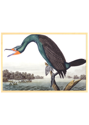 Celadon Art Florida Cormorant by John J. Audubon 28"x19"