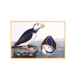 Celadon Art Large Billed Puffin by John J. Audubon 28"x19"