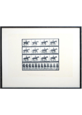 Celadon Art Muybridge Horse & Rider II
