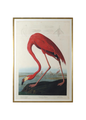Celadon Art American Flamingo by John J. Audubon