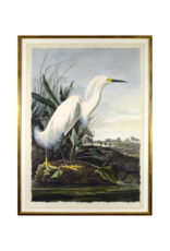 Celadon Art White Egret by John J. Audubon
