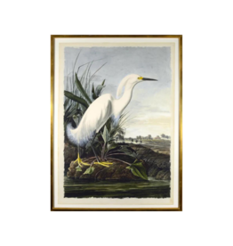 Celadon Art White Egret by John J. Audubon 37"x54"