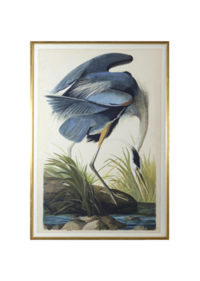 Celadon Art Blue Heron by John J. Audubon 37x54