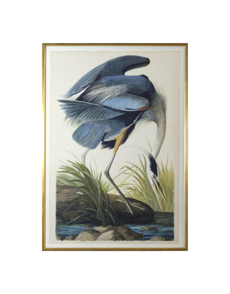 Celadon Art Blue Heron by John J. Audubon 37x54