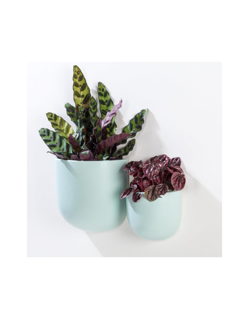 LAST ONE - Large Wall Planter in Mint