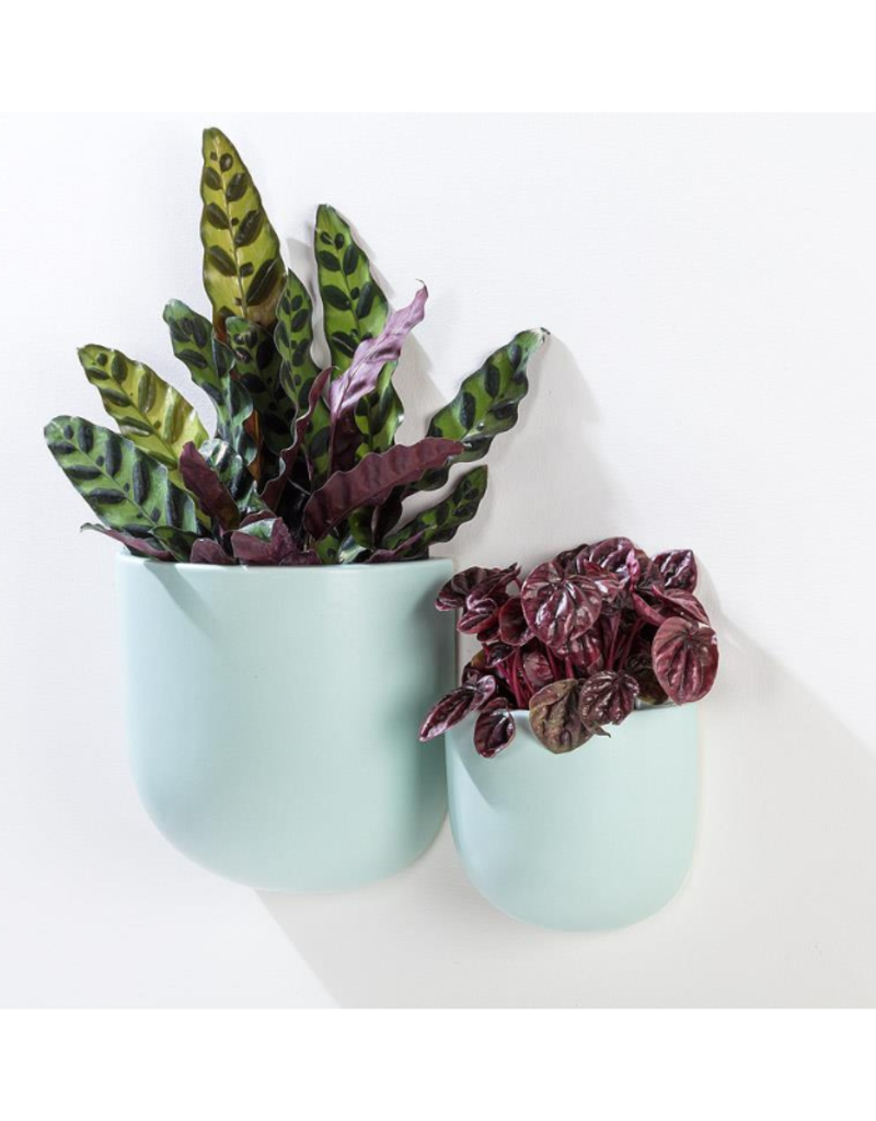 LAST ONE - Small Wall Planter in Mint