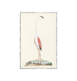 Celadon Art Gordon's Flamingo 33"x51"
