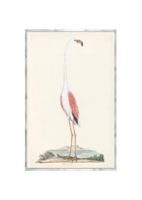 Celadon Art Gordon's Flamingo 33"x51"