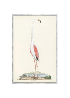 Celadon Art Gordons Flamingo Circa 1777