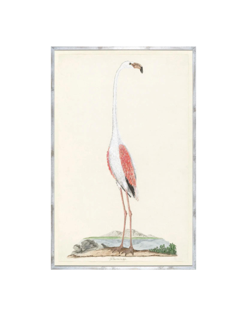 Celadon Art Gordon's Flamingo 33"x51"