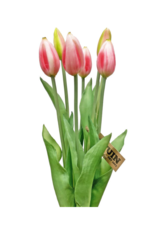 Pink Tulip Bundle 17"