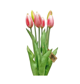 Pink Tulip Bundle 17"