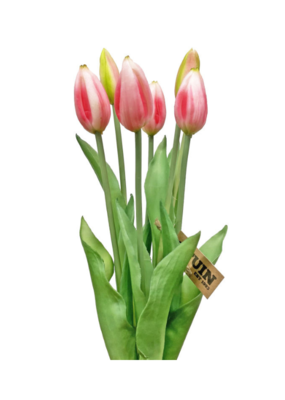 Pink Tulip Bundle 17"