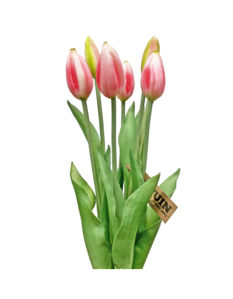 Pink 17" Tulip Bundle