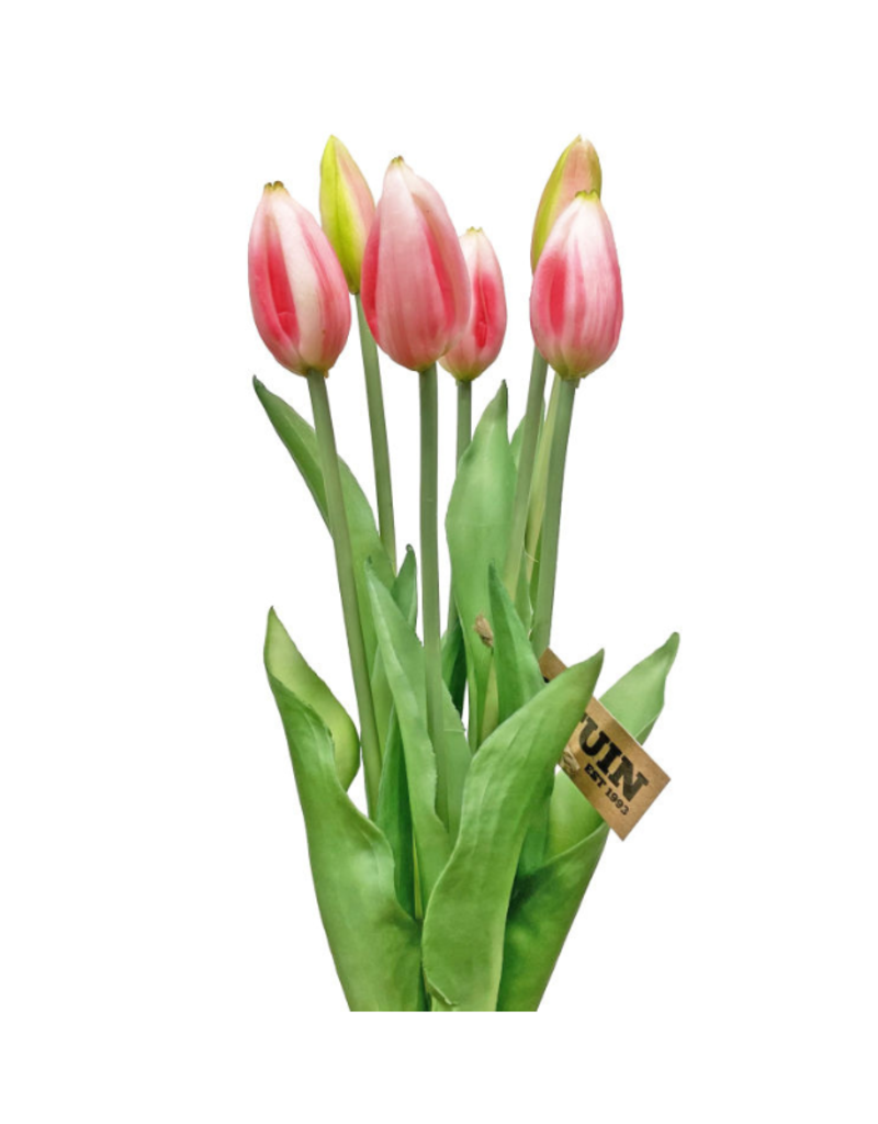 Pink Tulip Bundle 17"
