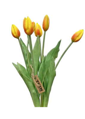 Orange 17" Tulip Bundle