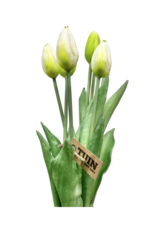 White 17" Tulip Bundle