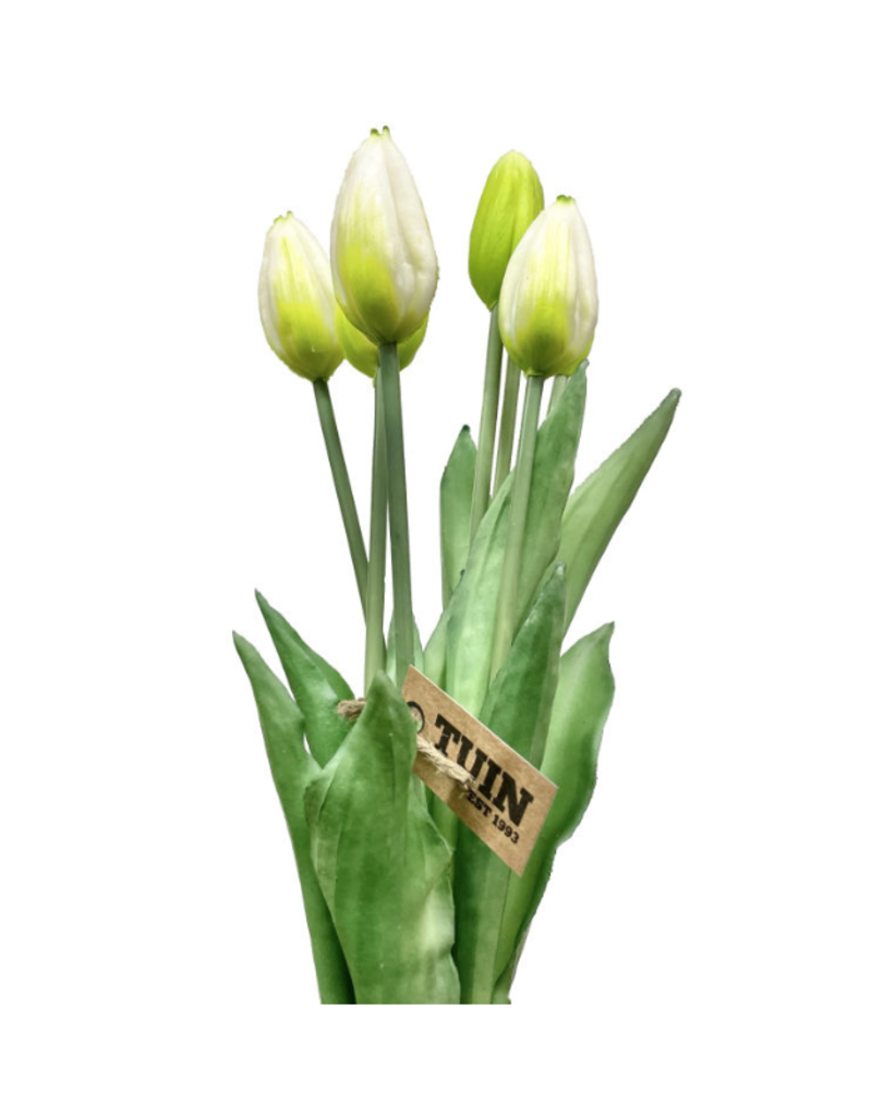 White 17" Tulip Bundle