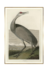 Celadon Art Hooping Crane by John J. Audubon 37x54